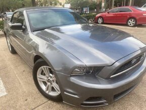 2014 Ford Mustang for sale 101820525