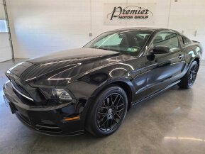 2014 Ford Mustang for sale 101895238