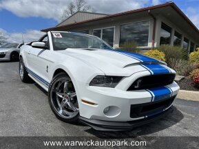 2014 Ford Mustang Shelby GT500 for sale 102021876
