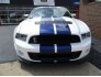 2014 Ford Mustang Shelby GT500 Coupe for sale 101734359