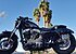 2014 Harley-Davidson Sportster for sale 200563667