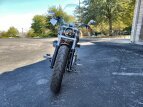 Thumbnail Photo 3 for 2014 Harley-Davidson Softail
