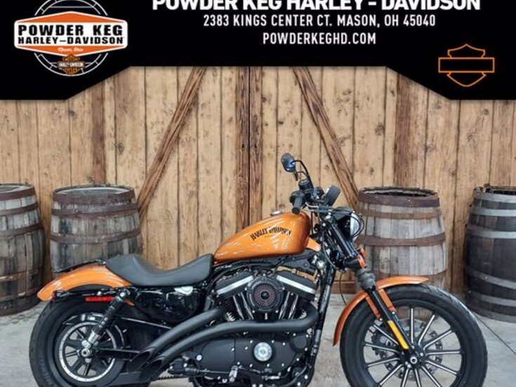 Thumbnail Photo undefined for 2014 Harley-Davidson Sportster
