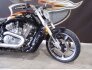 2014 Harley-Davidson V-Rod for sale 201272283