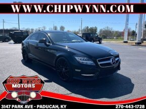 2014 Mercedes-Benz CLS550 for sale 102011771