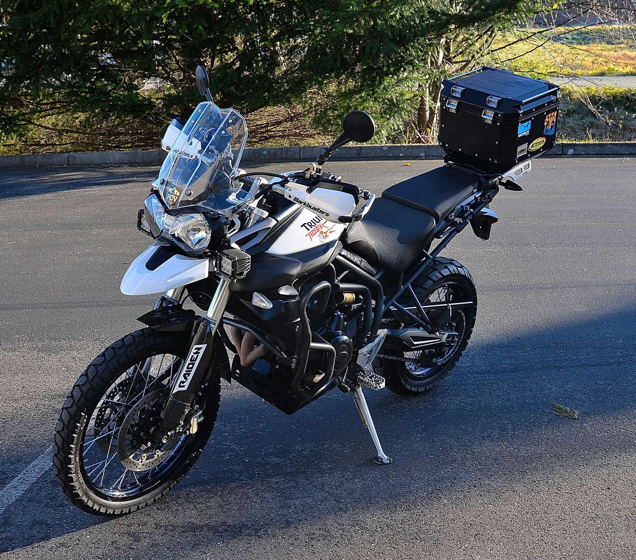 used triumph tiger 800