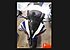 2014 Yamaha YZF-R6 for sale 200510353