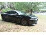 2015 Dodge Charger for sale 101733287