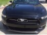 2015 Ford Mustang for sale 101533801