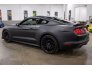 2015 Ford Mustang for sale 101667953