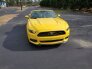 2015 Ford Mustang for sale 101696169