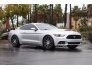 2015 Ford Mustang GT for sale 101711638