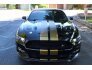 2015 Ford Mustang GT Premium for sale 101717752