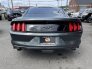 2015 Ford Mustang for sale 101739430