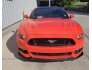 2015 Ford Mustang GT Premium for sale 101769800
