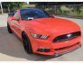 2015 Ford Mustang GT Premium for sale 101769800