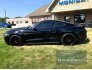 2015 Ford Mustang for sale 101778210