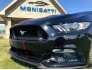 2015 Ford Mustang for sale 101778210