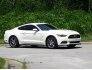 2015 Ford Mustang for sale 101780739