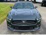 2015 Ford Mustang for sale 101795772