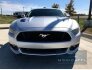 2015 Ford Mustang for sale 101797736