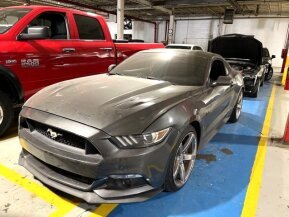 2015 Ford Mustang GT Coupe for sale 101933029