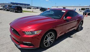 2015 Ford Mustang for sale 102022887