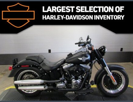Photo 1 for 2015 Harley-Davidson Softail