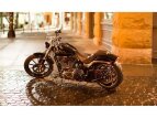 Thumbnail Photo 10 for 2015 Harley-Davidson Softail