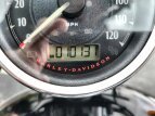Thumbnail Photo 20 for 2015 Harley-Davidson Sportster 1200 Custom