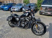 2015 Harley-Davidson Sportster