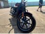 2015 Harley-Davidson Street 750 for sale 201360572