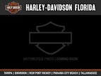 Thumbnail Photo 25 for 2015 Harley-Davidson Touring