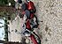 2015 Honda Shadow for sale 200798882