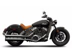 Thumbnail Photo 7 for 2015 Indian Scout