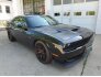 2016 Dodge Challenger for sale 101765575