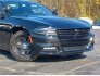 2016 Dodge Charger for sale 101796257