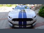 Thumbnail Photo 1 for 2016 Ford Mustang Shelby GT350 Coupe for Sale by Owner