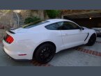 Thumbnail Photo 2 for 2016 Ford Mustang Shelby GT350 Coupe for Sale by Owner