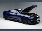 Thumbnail Photo 6 for 2016 Ford Mustang Shelby GT350 Coupe