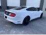 2016 Ford Mustang for sale 101700658