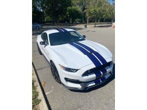 2016 Ford Mustang Shelby GT350 for sale 101790223