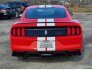 2016 Ford Mustang Shelby GT350 for sale 101838035