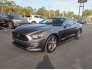 2016 Ford Mustang for sale 101841259