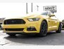 2016 Ford Mustang GT Premium for sale 101841352