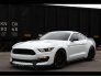 2016 Ford Mustang for sale 101845029