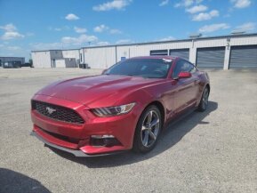 2016 Ford Mustang for sale 101864203