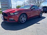 2016 Ford Mustang for sale 102018796