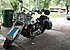 2016 Harley-Davidson Softail for sale 200619054