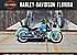 2016 Harley-Davidson Softail for sale 200795019